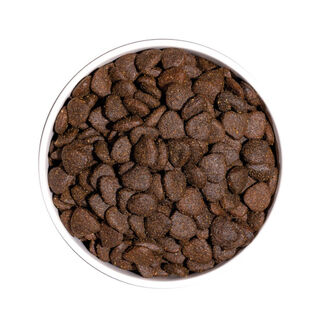 Ownat Just Grain Free Adult Cordero pienso para perros
