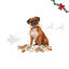 1 pack x 39 uds. Wonder Christmas Caja Regalo Cuero Prensado Snacks para perros, , large indicador imagen numero 1