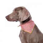 Bandana para perros estampado liberté color Rosa, , large image number null