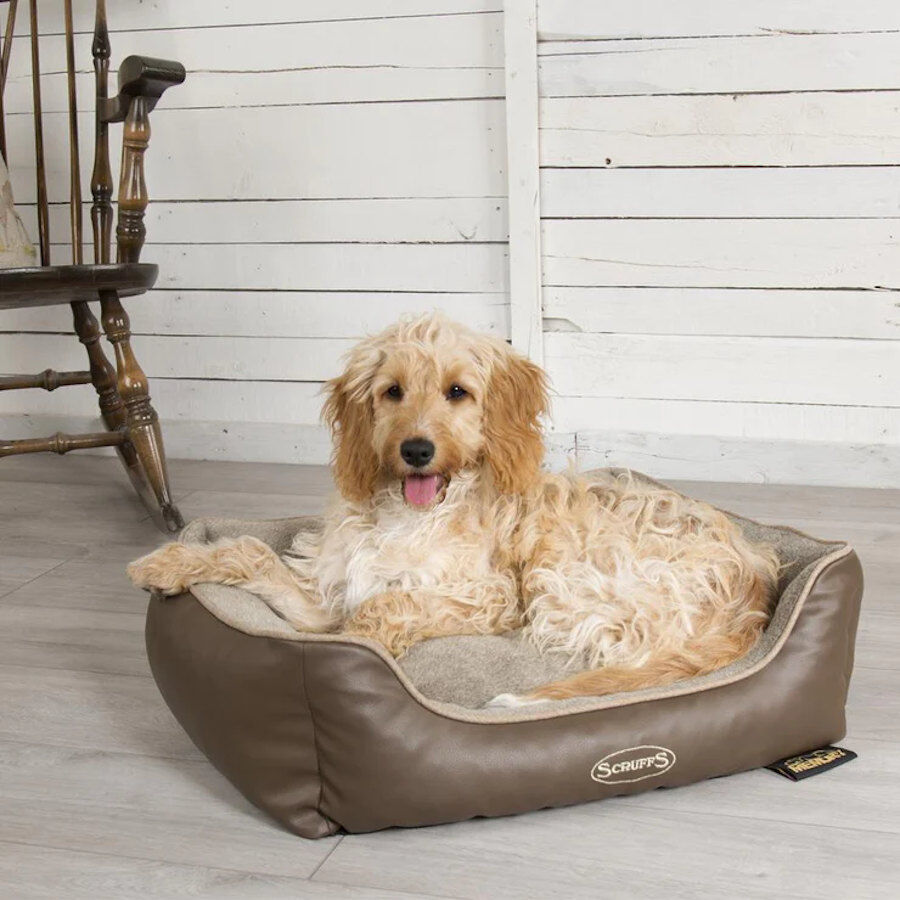 Scruffs Chateau Box Cama Ortop&eacute;dica Latte para perros, , large Imagen numero 2