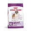 15 kg Royal Canin Giant Adult pienso para perros, , large indicador imagen numero 4