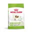 Royal Canin X-Small Ageing 12+ Adult pienso para perros, , large indicador imagen numero 1