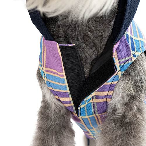 Chubasquero con capucha Lavanda CHUBASQUERO CON CAPUCHA LAVANDA 40CM, , large Imagen numero 4