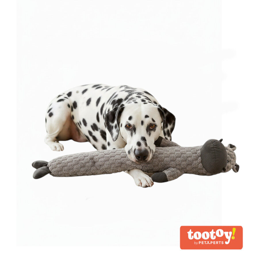 Tootoy! Hipop&oacute;tamo Largo de Peluche con Sonido para perros, , large Imagen numero 6