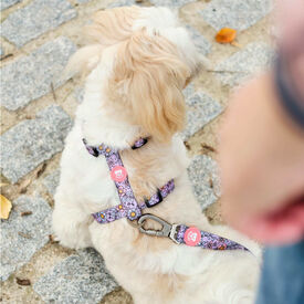 Dukier Flower Power Arn&eacute;s Cl&aacute;sico para perros