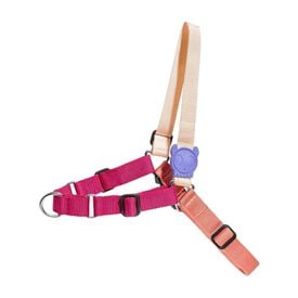 Arnés Zee.dog Soft-Walk Cinnamon M
