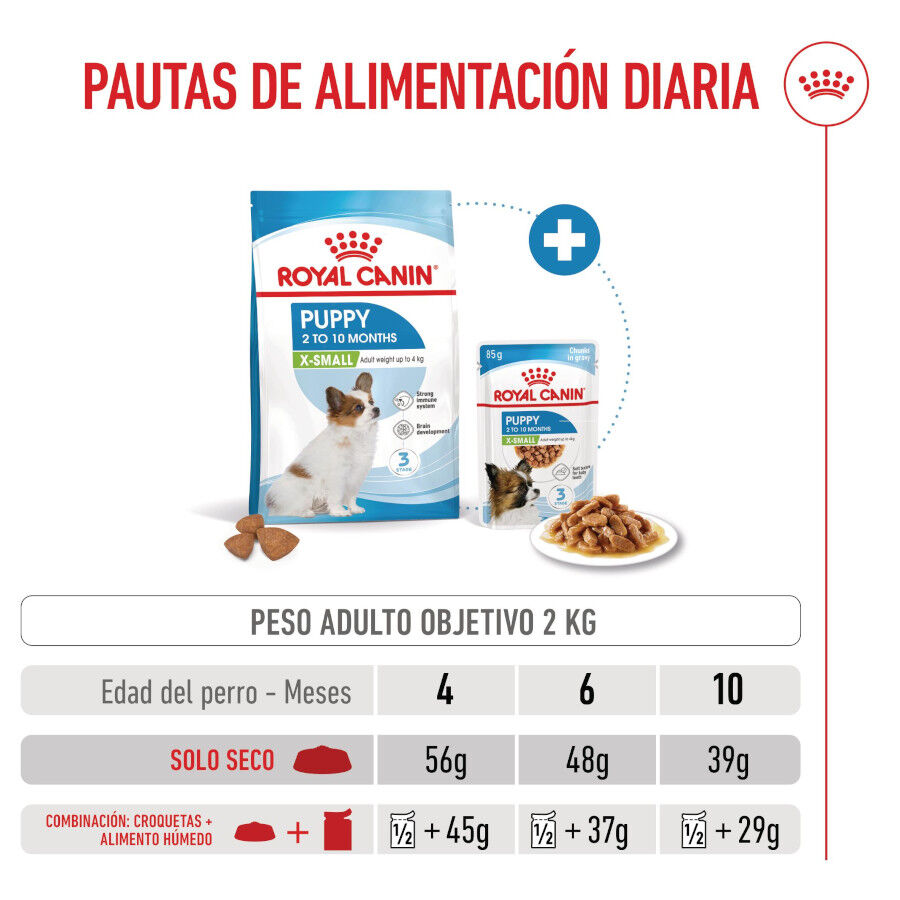 Royal Canin X-Small Puppy pienso para perros thumbnail