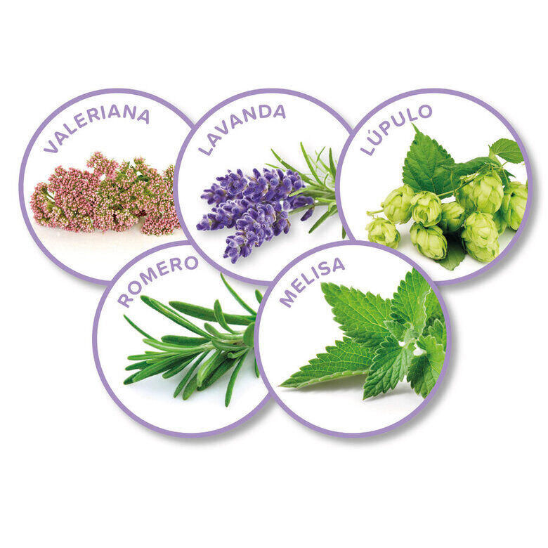 Beaphar Calming Collar Relajante para gatos4 Imagen numero 4