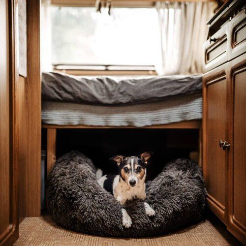 Cama redonda para mascotas color Gris Oscuro, , large Imagen numero 4