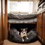 Cama redonda para mascotas color Gris Oscuro, , large indicador imagen numero 4