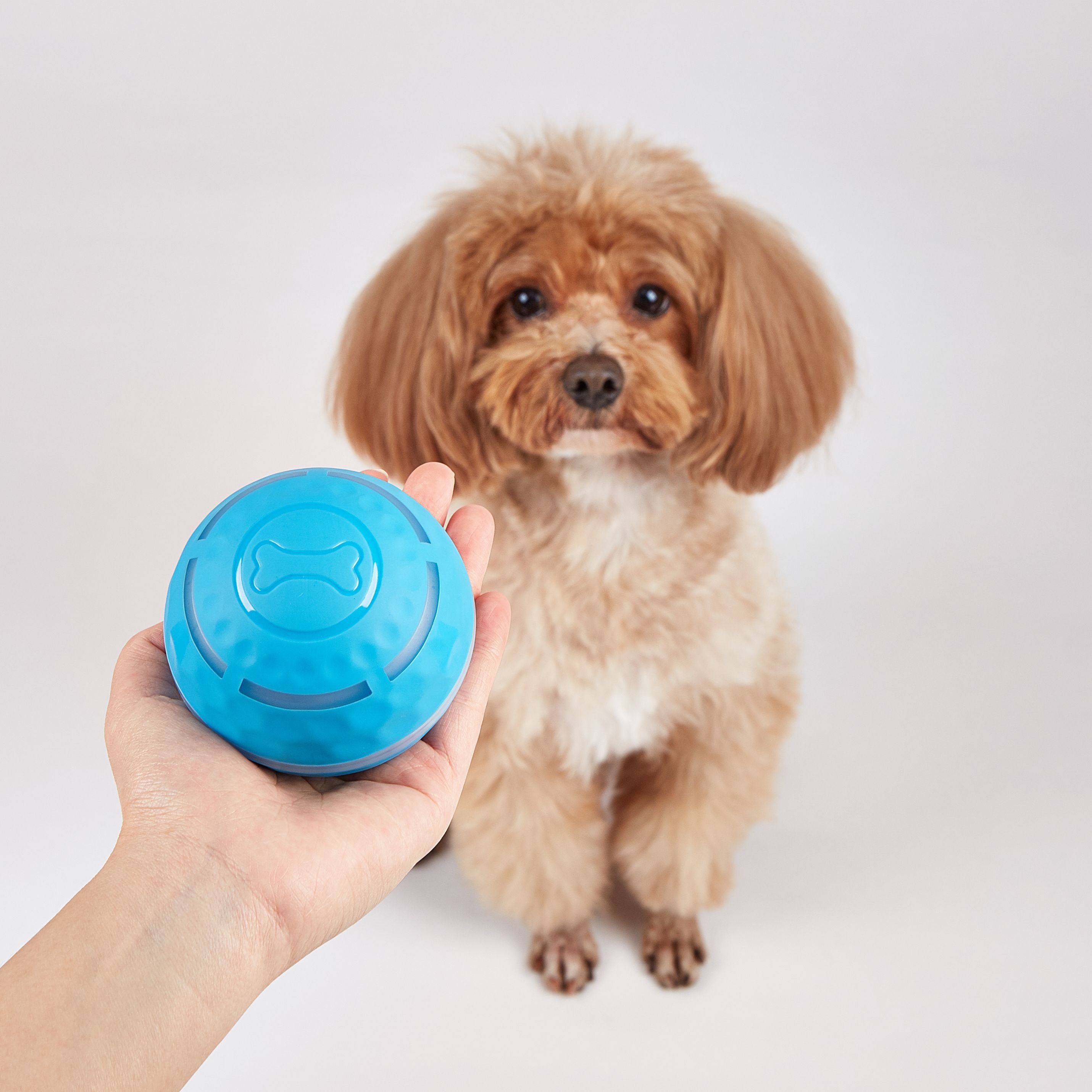 Bola Interactiva Recargable con Efectos FOFOS thumbnail