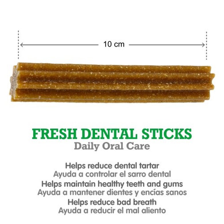 Dental stick Fresh sabor Menta, , large image number null