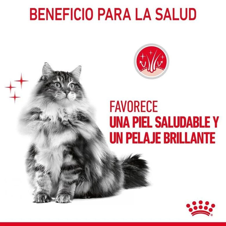 Royal Canin Hair and Skin sobre en salsa para gatos thumbnail