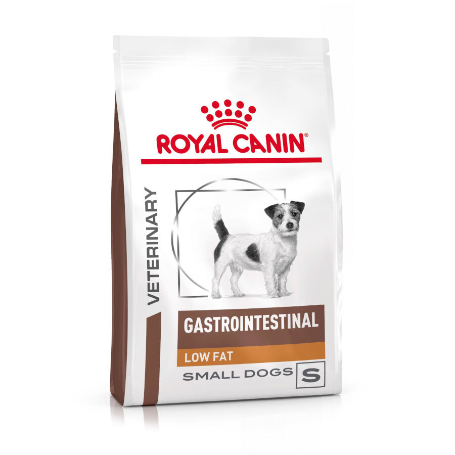 Royal Canin GastroIntestinal Low Fat pienso para perros pequeños