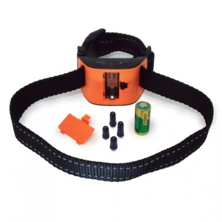 Daonly collar automático naranja para perros