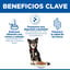 6 kg Hill's Science Plan Perfect Digestion Small y Mini Adult Pollo pienso para perros, , large indicador imagen numero 5