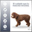 MD-10 Champú Hidratante vegano para perro de Agua Español Marrón, , large indicador imagen numero 3