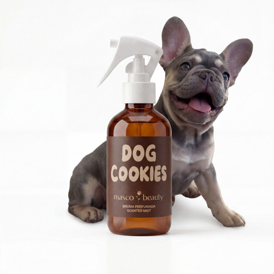 Masco Beauty Perfume galleta, coco y vainilla para perros, , large Imagen numero 1
