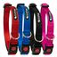 Collares nylon Silky COLLAR SILKY - AZUL TALLA L, , large indicador imagen numero 1