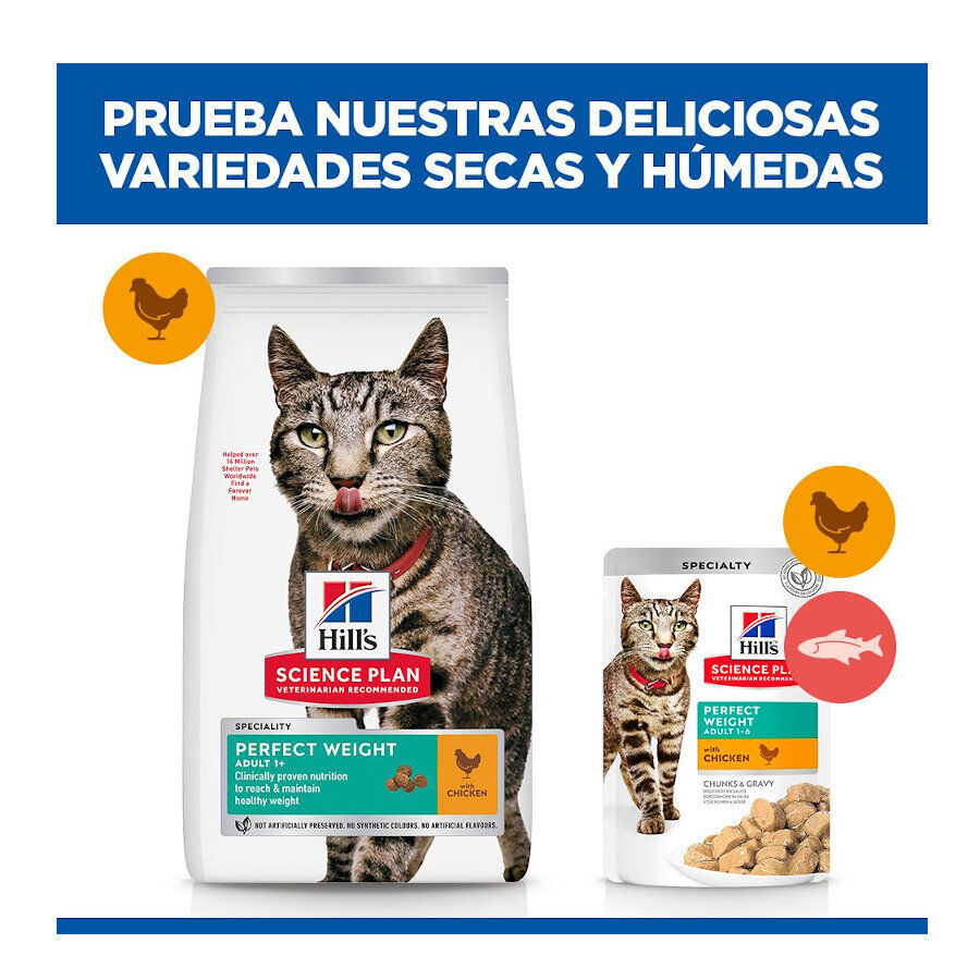 7 kg Hill's Science Plan Perfect Weight Adult pollo pienso para gatos, , large Imagen numero 8