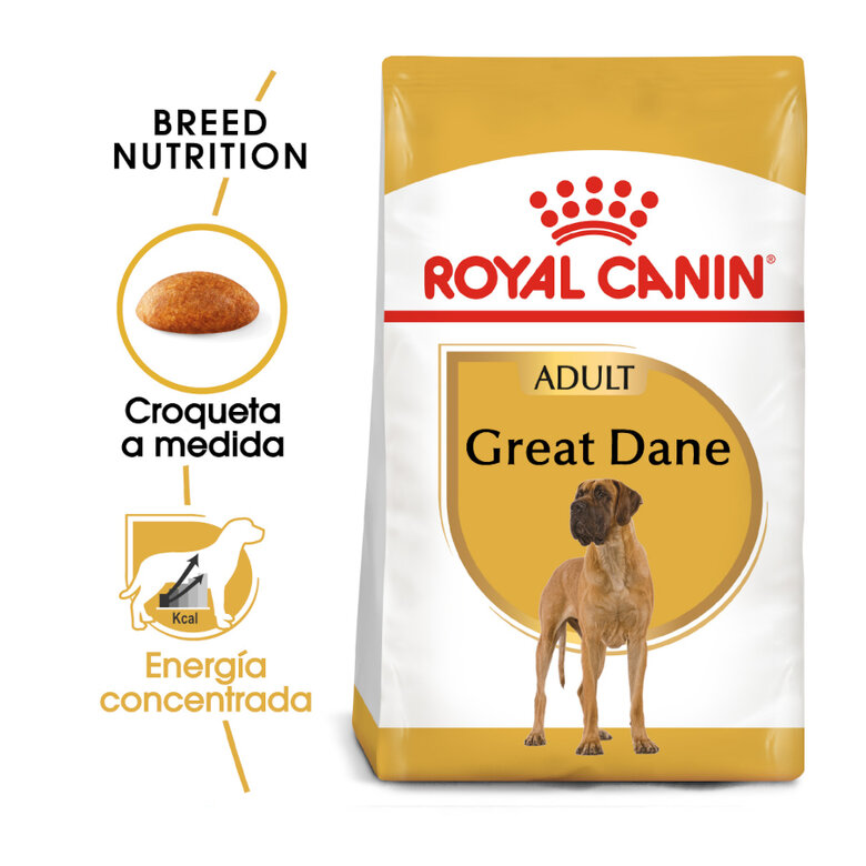 Royal Canin Adult Great Dane pienso para perros, , large image number null