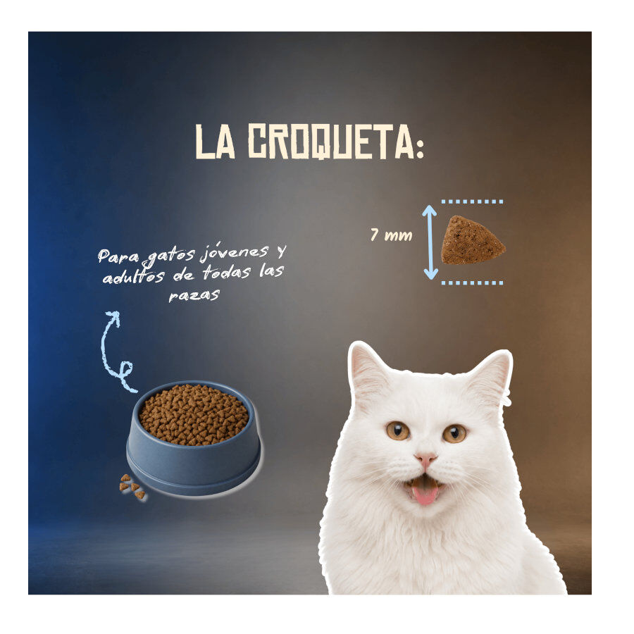 2 Kg Lenda Grain Free Pescado Blanco pienso para gatos, , large Imagen numero 6