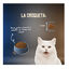 2 Kg Lenda Grain Free Pescado Blanco pienso para gatos, , large indicador imagen numero 6