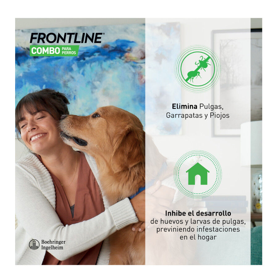 Frontline Spot On Combo Pipetas Antiparasitarias Perros 20 - 40 kg thumbnail