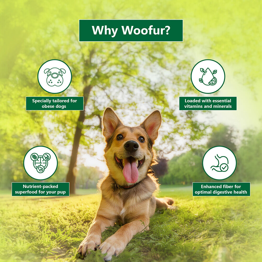 Delicias de carne seca: pollo y calabaza (50 g/1,76 oz), , large Imagen numero 4