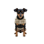 Gotoo Chaqueta Tart&aacute;n Cuadros para perros, , large indicador imagen numero 7