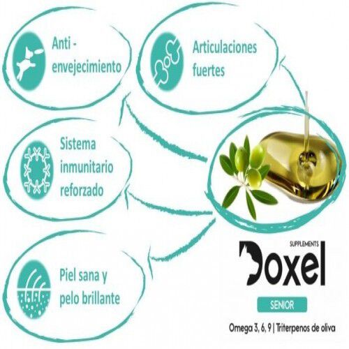Aceite Omegas 3,6,9 Doxel Senior antiinflamatorio articulaciones sabor Natural, , large Imagen numero 2