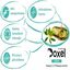 Aceite Omegas 3,6,9 Doxel Senior antiinflamatorio articulaciones sabor Natural, , large indicador imagen numero 2