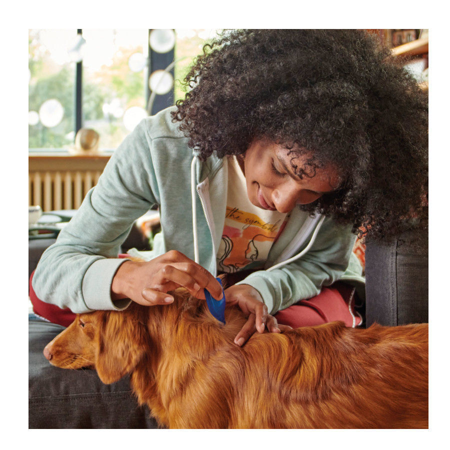 Beaphar FiproTec Pipetas para perros thumbnail