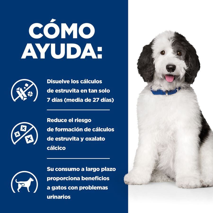 Hill&#039;s Prescription Diet Urinary Care c/d Pollo lata para perros thumbnail
