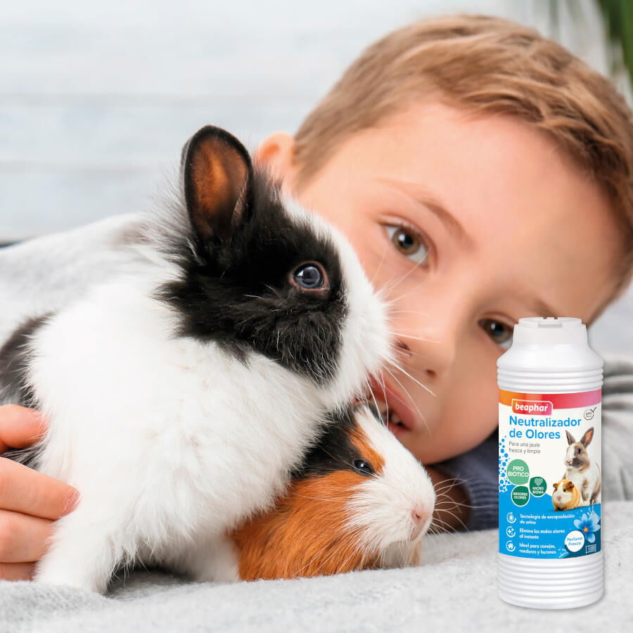 Beaphar Neutralizador de olores para roedores thumbnail