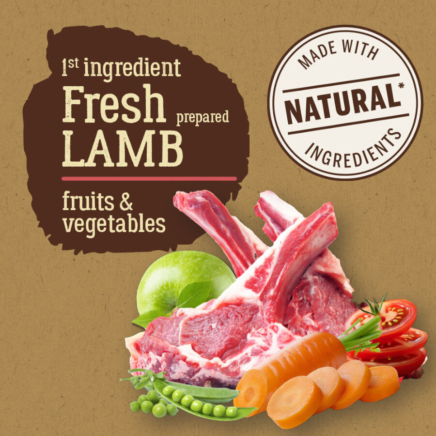 True Origins Pure Adult Medium Maxi Cordero pienso para perros thumbnail