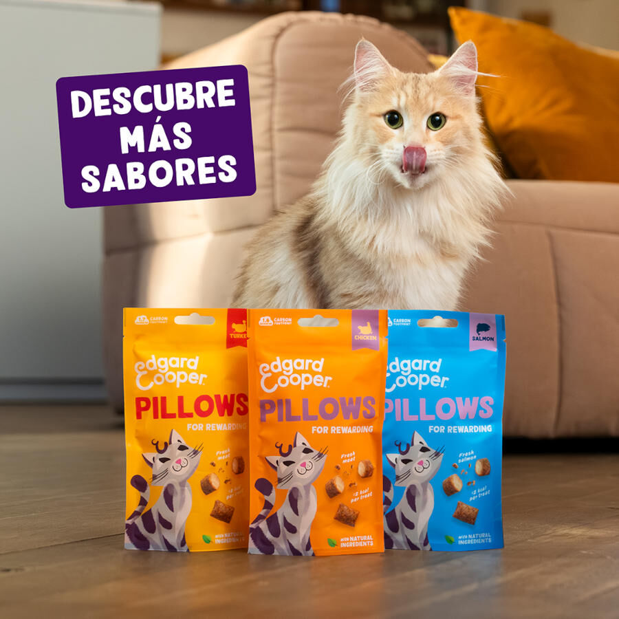 60 g Edgard & Cooper Bocaditos Pillows Pollo para gatos, , large Imagen numero 6