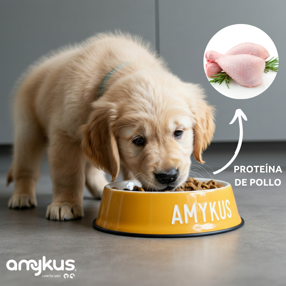 Amykus Original Puppy, , large Imagen numero 4