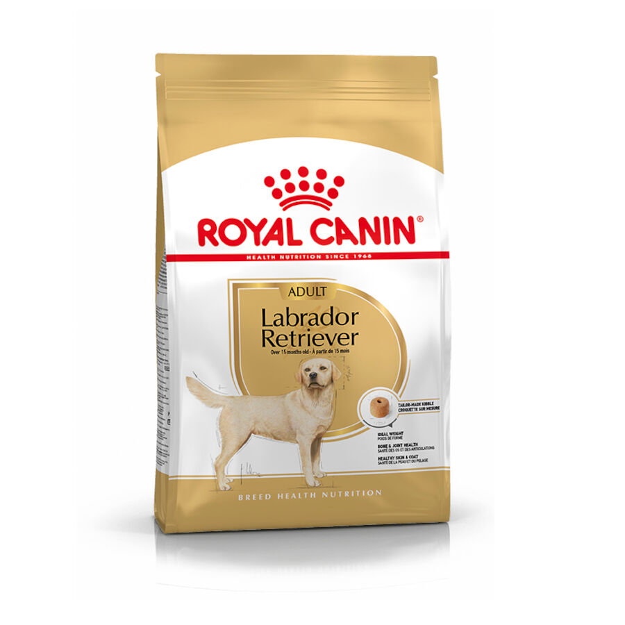 12 kg Royal Canin Adult Labrador Retriever pienso para perros, , large Imagen numero 1