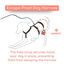 Arnés de 3 Puntos Antiescape Antitirones - Ideal para Lebreles: Galgo Italiano, Whippet, Galgo, Podenco - Seguro, Transpirable y Duradero - Perfecto para Caminar, Entrenar y Correr - ANTRACITA,M, , large indicador imagen numero 9