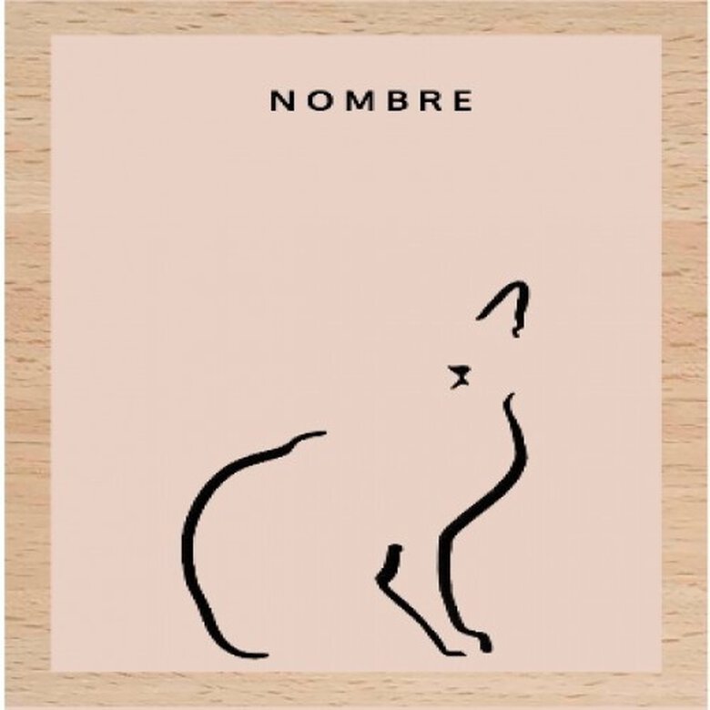 Ilustración gato doméstico marco de madera color Rosa, , large image number null