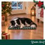 Wonder Christmas Set Manta y Cojin Hueso para perros, , large indicador imagen numero 2