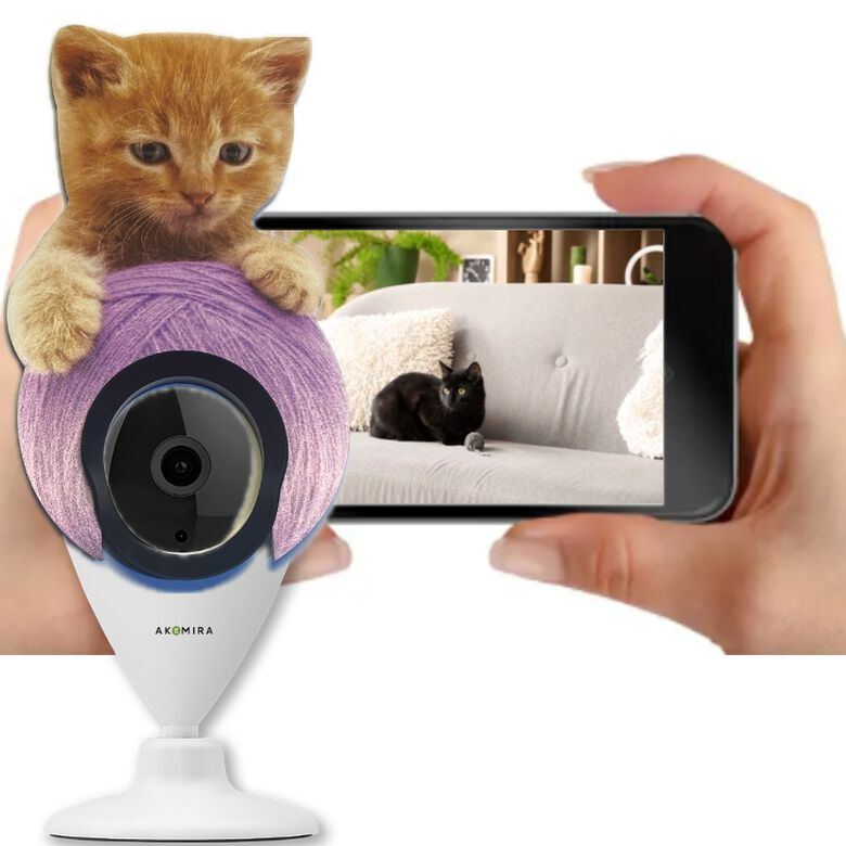 Cubierta Decorativa para Cámara WiFi, Diseño de Gato Naranja con Ovillo Morado thumbnail