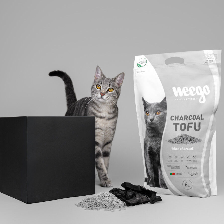 Weego Arena Soft Tofu para Gato, , large Imagen numero 3
