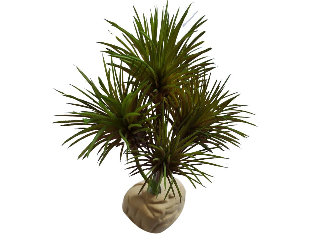 Reptilhábitat Planta Kleinia De Decoración Para Terrarios thumbnail