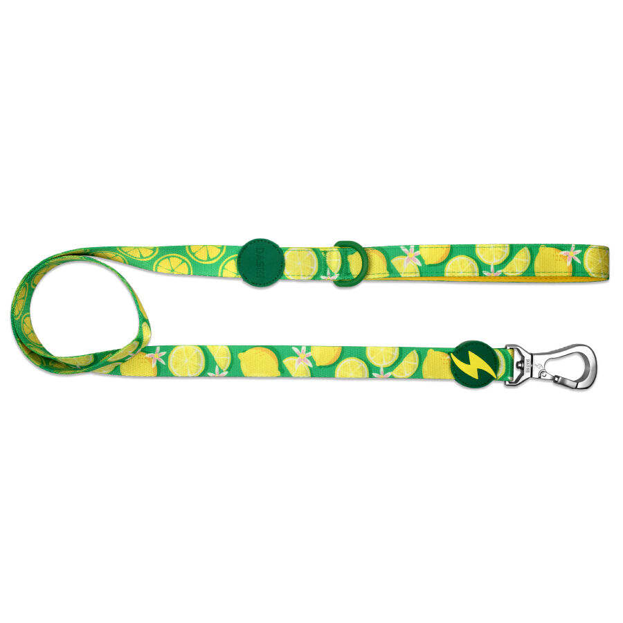 Correa Eco Rio, , large Imagen numero 1