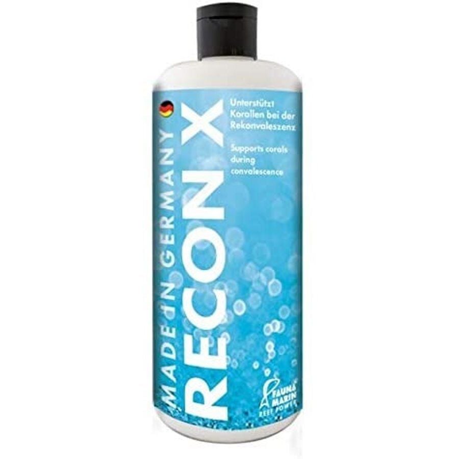 Fauna Marín FM RECON Reparador corales