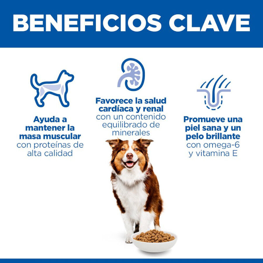 14 kg Hill's Science Plan Mature Adult Medium Pollo pienso para perros, , large Imagen numero 5