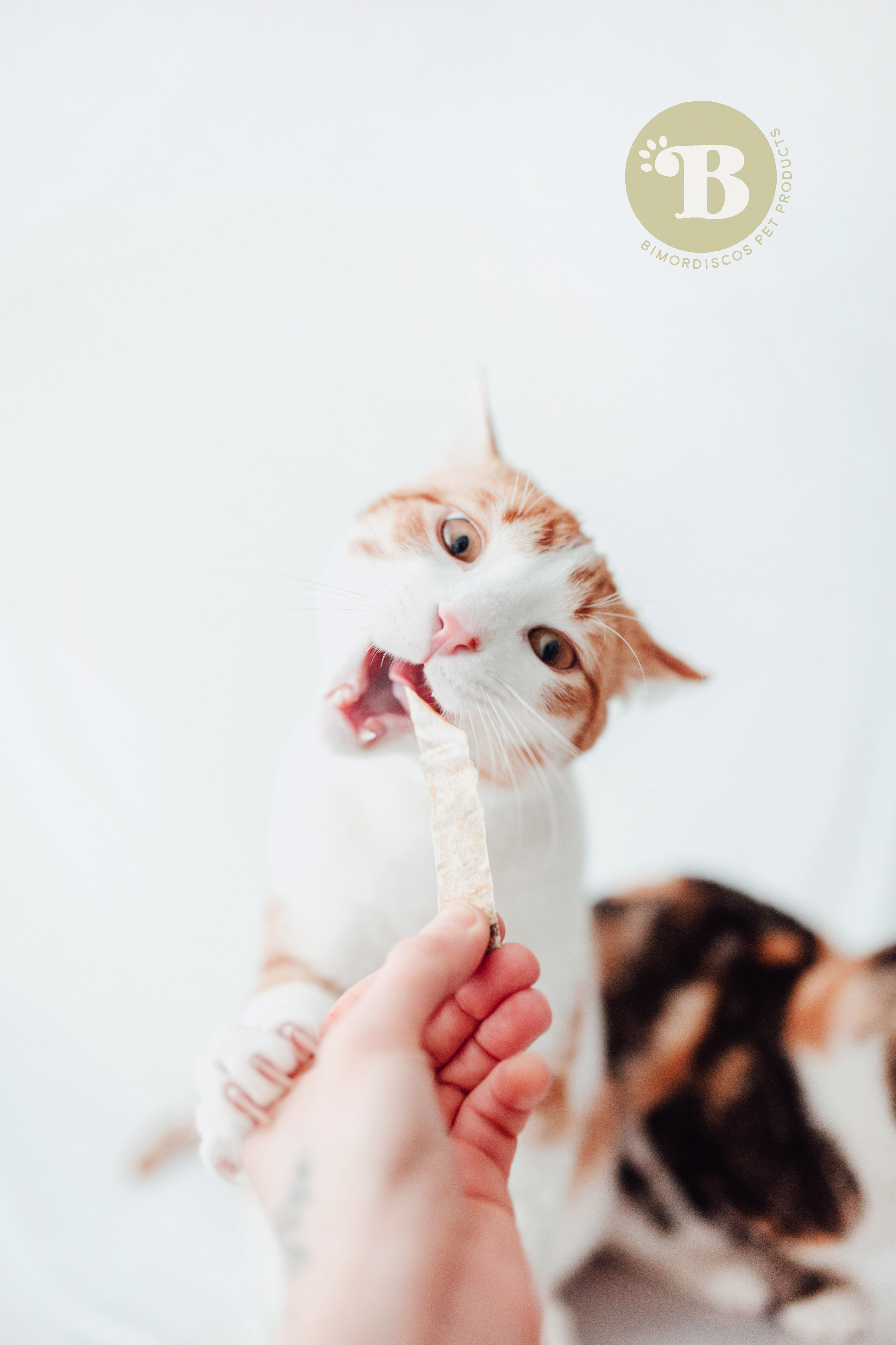 BIMORBOX Gold Ocean - Pack  Snacks y Productos Mar&iacute;timos para Perros, , large Imagen numero 3