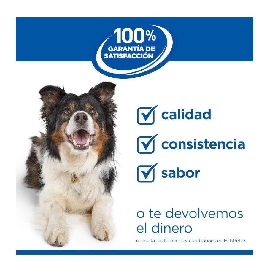 363 g Hill's Science Plan Hypoallergenic Alimento H&uacute;medo con Salm&oacute;n para Perros Adultos, , large Imagen numero 10
